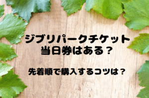 ジブリパークチケット当日券はある？先着順で購入するコツも徹底解説！のイメージ画像